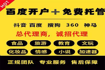 某某sem广告公司专案解读：SEM在旅游行业的成功实践